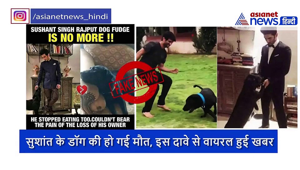 सुशांत के बाद अब उनके कुत्ते की मौत की खबर वायरल, सिर्फ यहां जाने पूरा सच