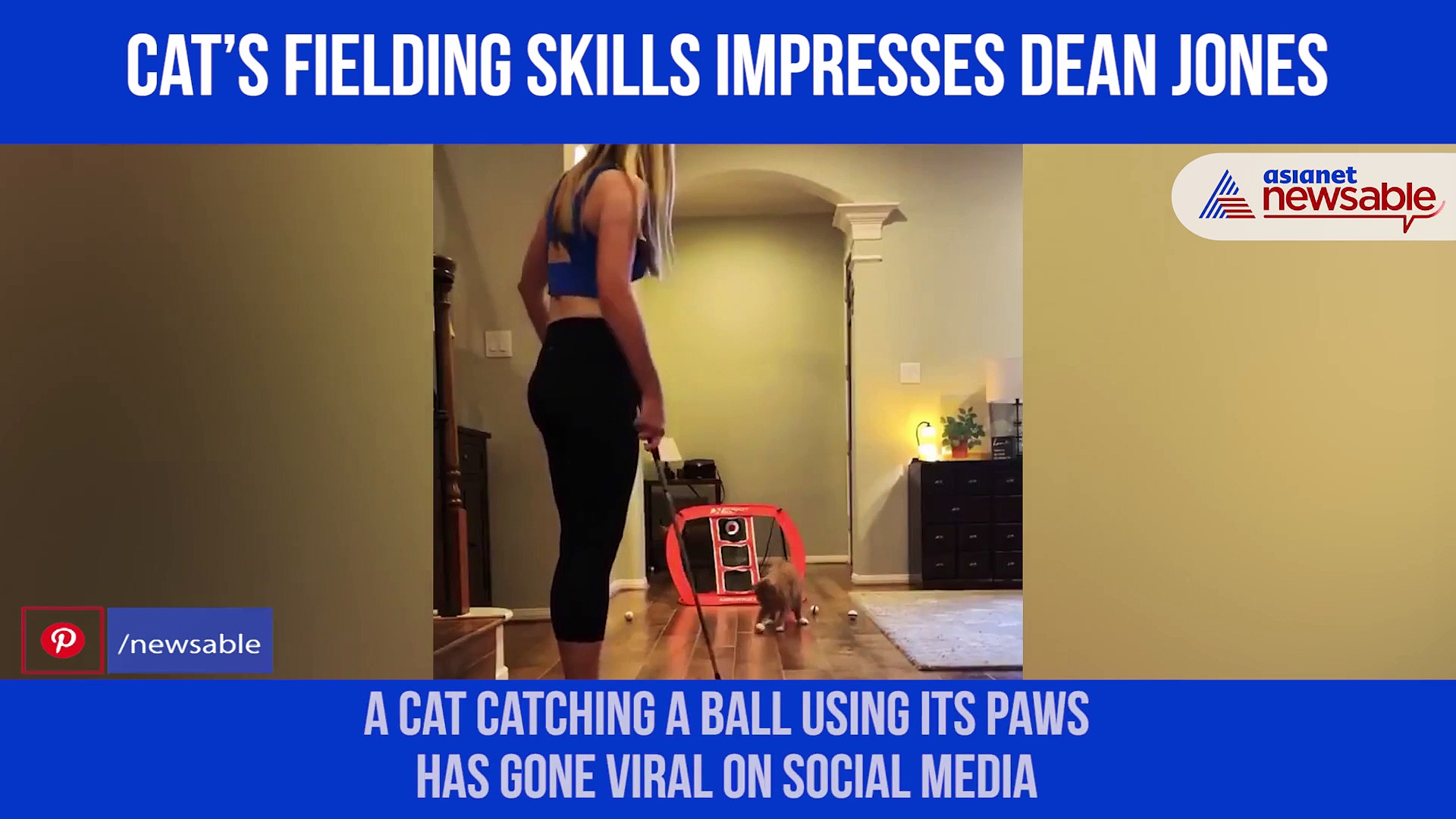 Cat's fielding skill impresses netizens; Dean Jones shares viral video