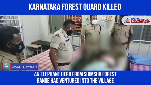 Forest guard killed