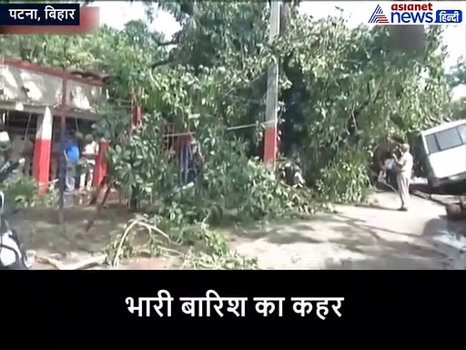 रात को अचानक इस पुराने पेड़ ने फैला दी दहशत, नीचे दबे थे हथियार