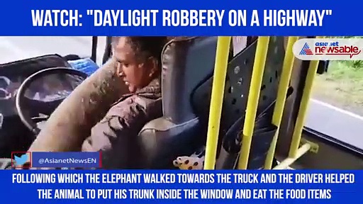Watch: Elephant puts trunk inside truck for banana treat; video goes viral