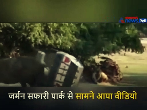 गैंडे को आया गुस्सा, तो अपने केयर टेकर की कार का निकाला कचूमर