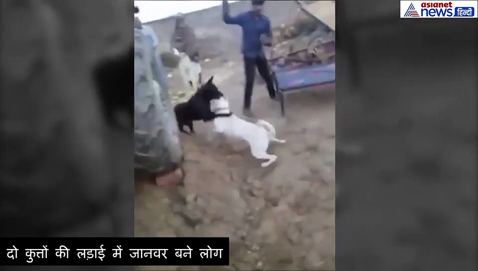 बेरहमी से कुत्तों को रॉड से पीट रहा था शख्स, तुरंत मिल गई कर्मों की सजा