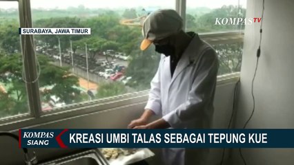 Legit! Mahasiswa Surabaya Olah Umbi Talas Jadi Tepung untuk Bahan Dasar Kue