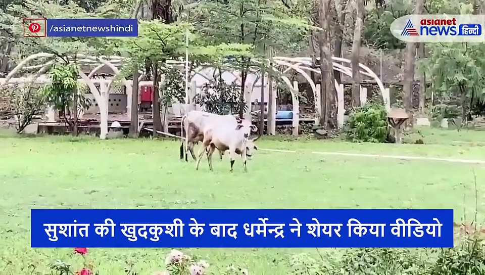 84 साल के धर्मेन्द्र ने शेयर किया वीडियो, बोले- डिप्रेशन को डिप्रेशन दे दो..हसरतों से कहो हद में रहें