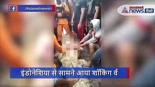 मछली पकड़ रही थी महिला को मगरमच्छ ने निगला, इस हालत में निकाला महिला को बाहर