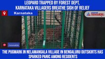 Leopard trapped by forest dept, Karnataka villagers breathe sigh of relief