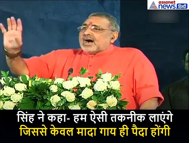 हम गाय पैदा करने की फैक्ट्री लगा देंगे: गिरिराज सिंह