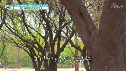 엄마를 닮아서 어릴 적부터 남다른 딸의 음악적 재능 TV CHOSUN 20220518 방송