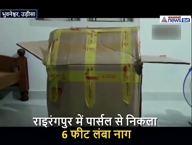 कोरियर से पहुंचा पार्सल, जैसे ही खोला फुफकारते हुए निकला 6 फीट लंबा नाग