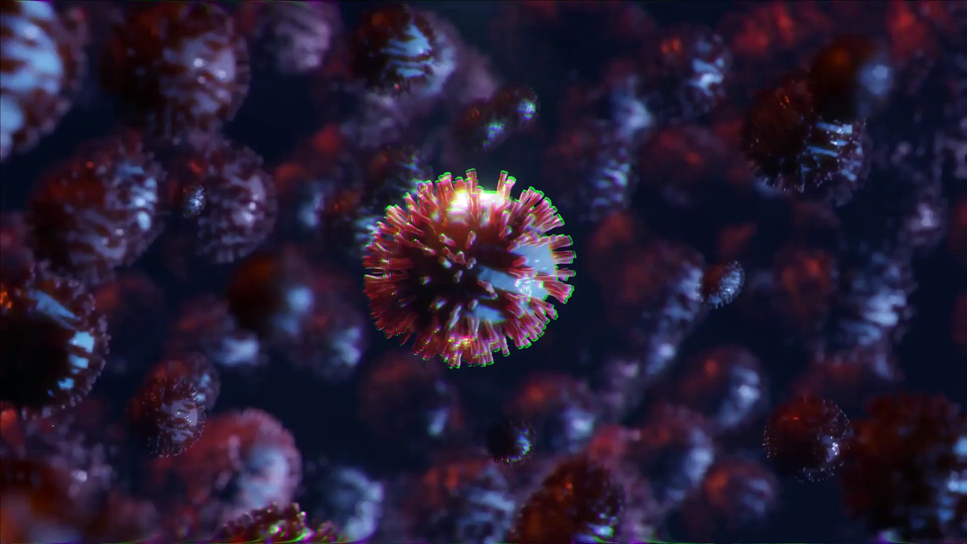 'Vaccinate dialysis and transplant patients with health workers'