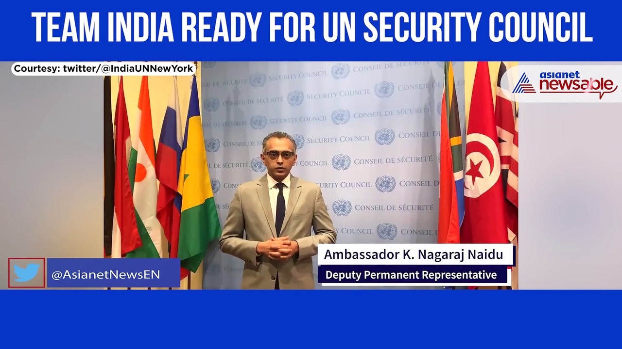 UN Security Council