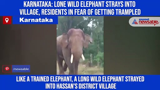 Karnataka: Lone wild elephant strays into village, residents in fear of getting trampled