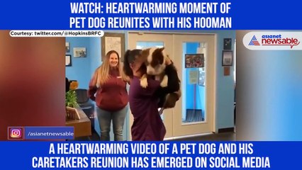 Dog Reunites with owner