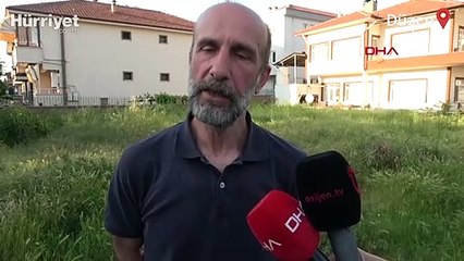 Kazı yapıldı, 15 köpeğin gömüldüğü ortaya çıktı, soruşturma başlatıldı! İsyan etti: 'Katliam'