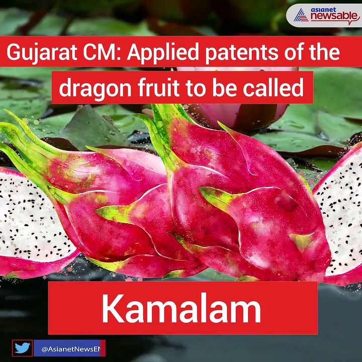 Dragon fruit renamed Kamalam in Gujarat