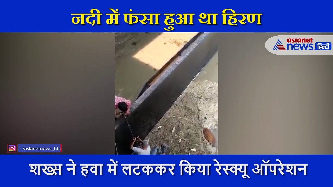 खुद की जान को मुश्किल में डालकर हिरण को बचाया, ऐसे किया खतरनाक रेस्क्यू