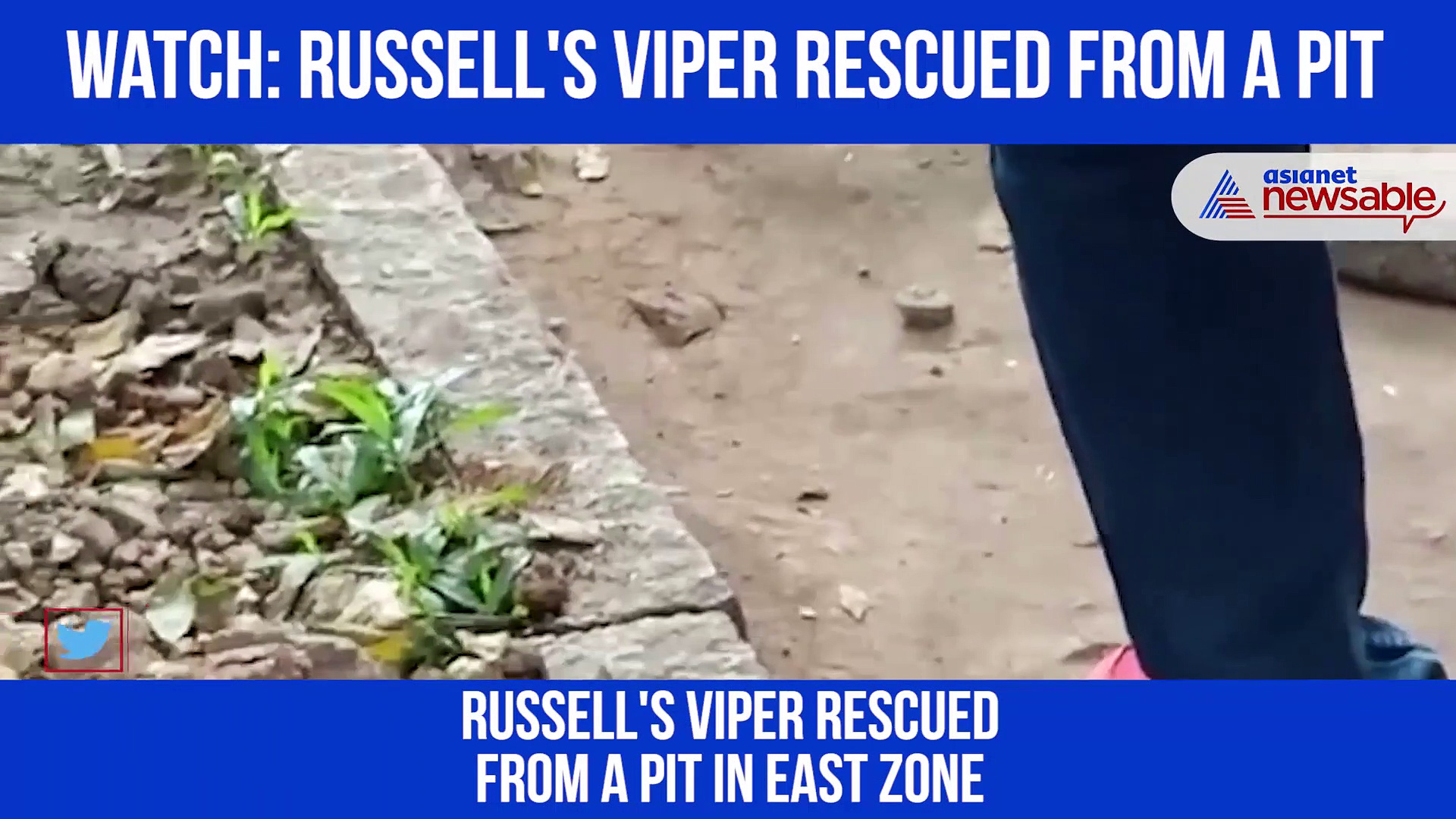 Here's how Russell's Viper was rescued from a pit in Bangalore: Watch the video