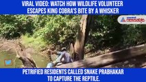 Viral video: Watch how wildlife volunteer escapes king cobra's bite by a whisker