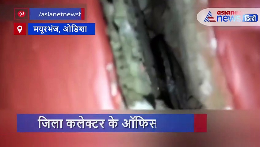 लॉकडाउन में कलेक्टर साहब से मिलने पहुंचा जहरीला मेहमान, देखते ही उड़ गए होश