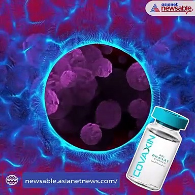 Covishield vs Covaxin: Comparison of the 2 Covid-19 vaccines approved in India