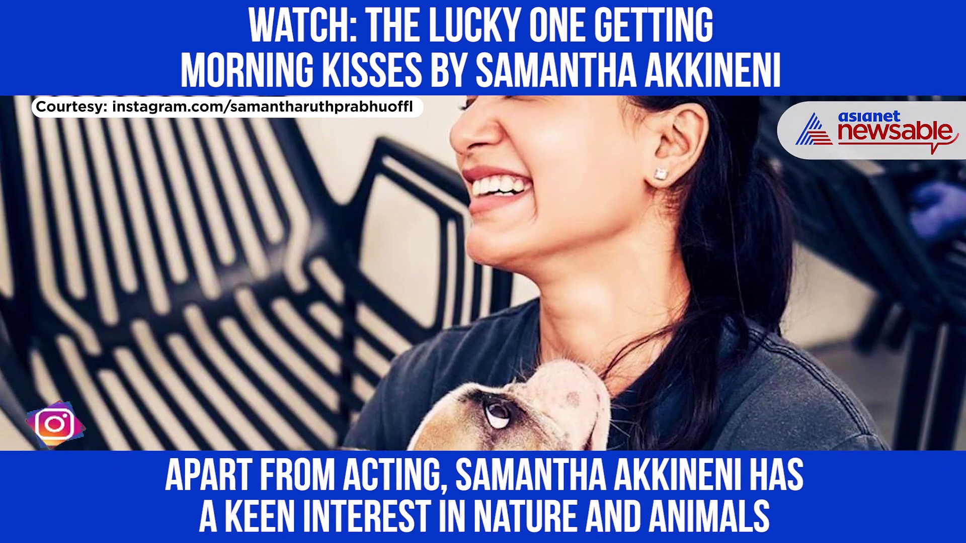 Samantha Akkineni gives her morning kisses to this lucky one: Check out the adorable video