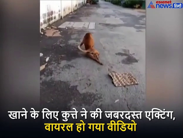 लोगों को कुत्ते ने दिया धोखा, पहले लंगड़ाकर चला, खाना मिलते ही दिखाए असली रंग