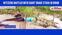 Watch: 50-foot long snake gets stuck in drum; video goes viral