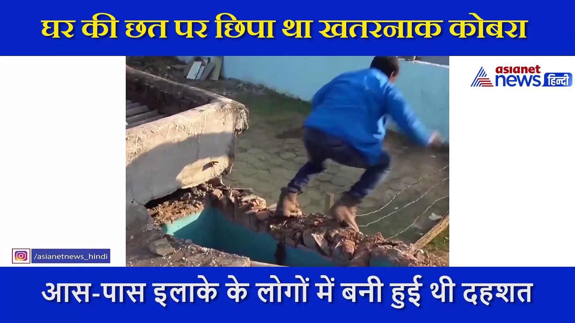 घर की छत पर छिपा था खतरनाक कोबरा , 8 महीने बाद ऐसे निकाला बाहर