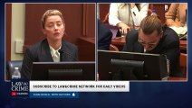 Amber Heard Recalls How James Franco Reacted to Her Facial Injuries