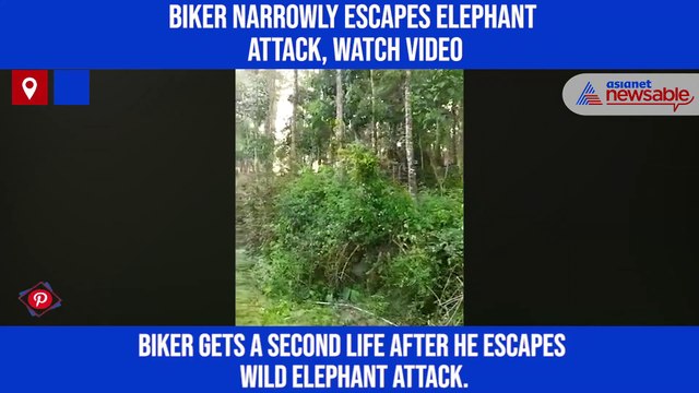 Biker narrowly escapes elephant attack, watch video