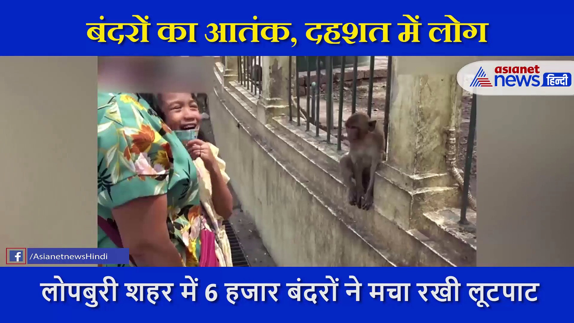 शहर पर 6 हजार बंदरों ने किया हमला, सड़कों पर मारपीट से लूटपाट तक करती दिखी वानर सेना