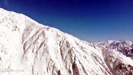 Defenders of The Motherland