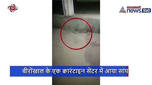 क्वारेंटाइन सेंटर में घुस आया सांप, देर रात कोरोना के बीच बाहर भागे संक्रमित