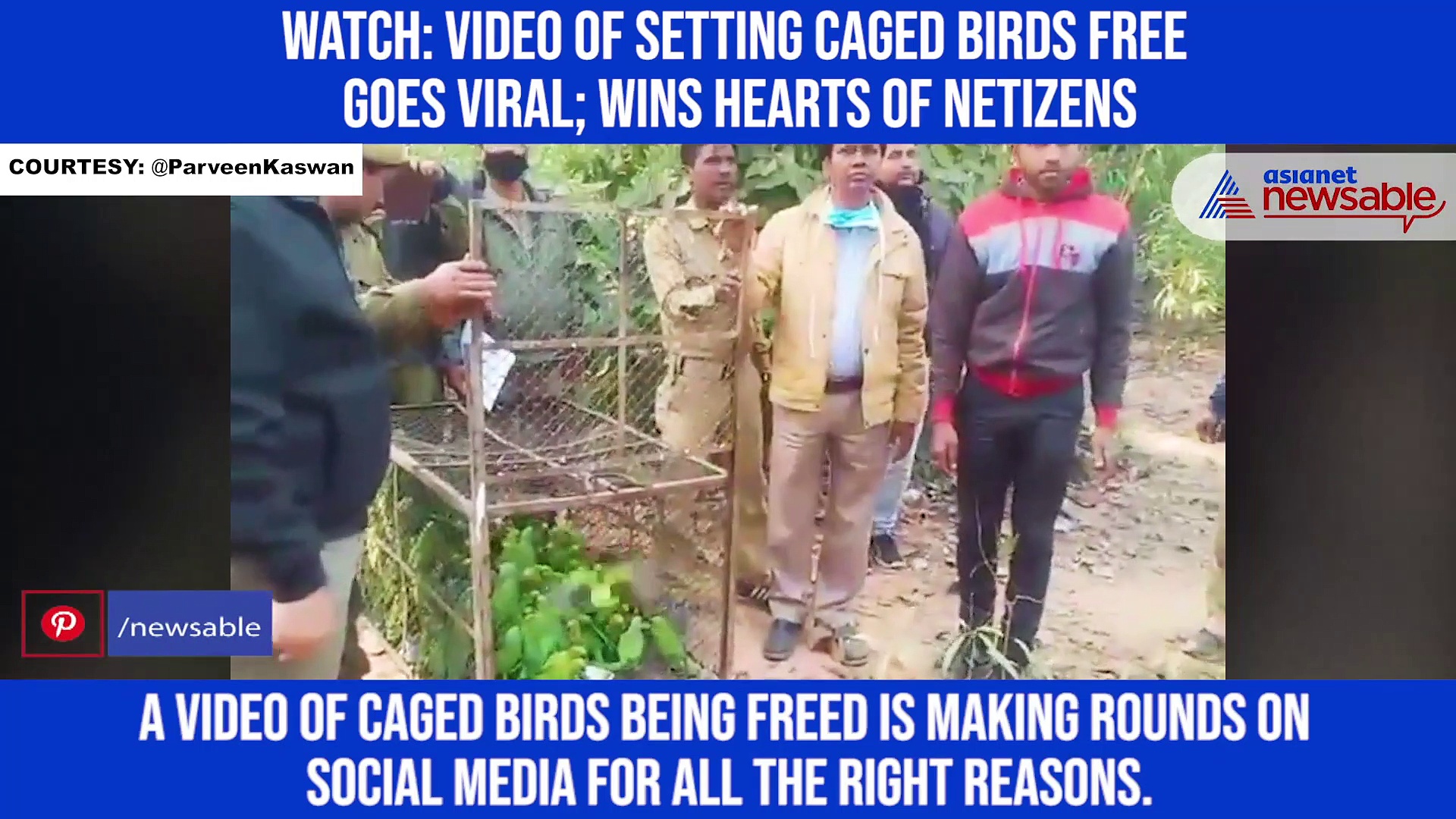 Watch: Video of setting caged birds free goes viral; wins hearts of netizens