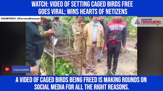Watch: Video of setting caged birds free goes viral; wins hearts of netizens