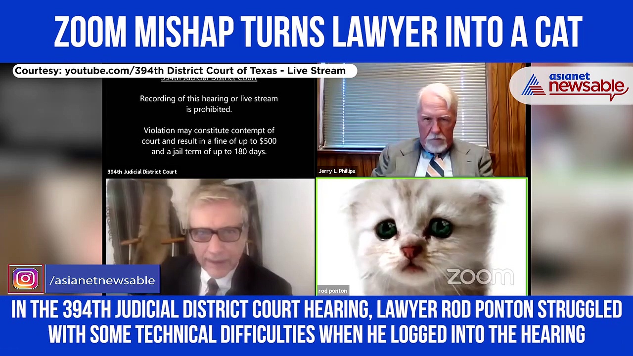 Zoom filter turns lawyer into cat during virtual hearing; video goes viral