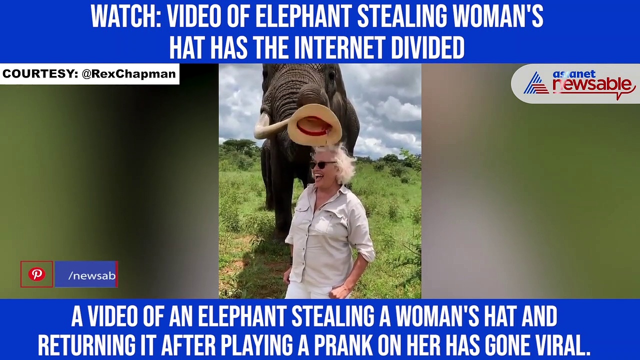 Watch: Video of elephant stealing woman's hat has the internet divided
