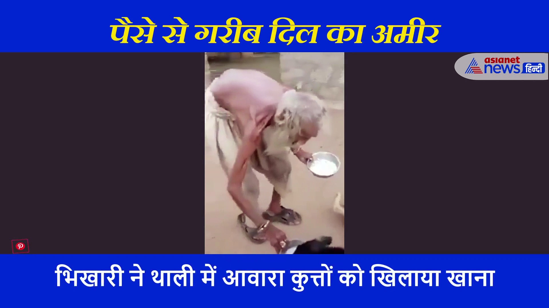 सड़क पर घूमते आवारा कुत्तों पर पसीजा भिखारी का दिल, अपनी ही थाली में खिलाया खाना