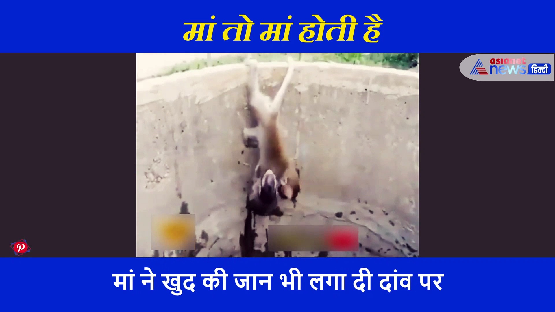 बच्चे को बचाने के लिए उल्टी टंग गई मां, अटकी सांसों में से ऐसे बचा लाई प्राण