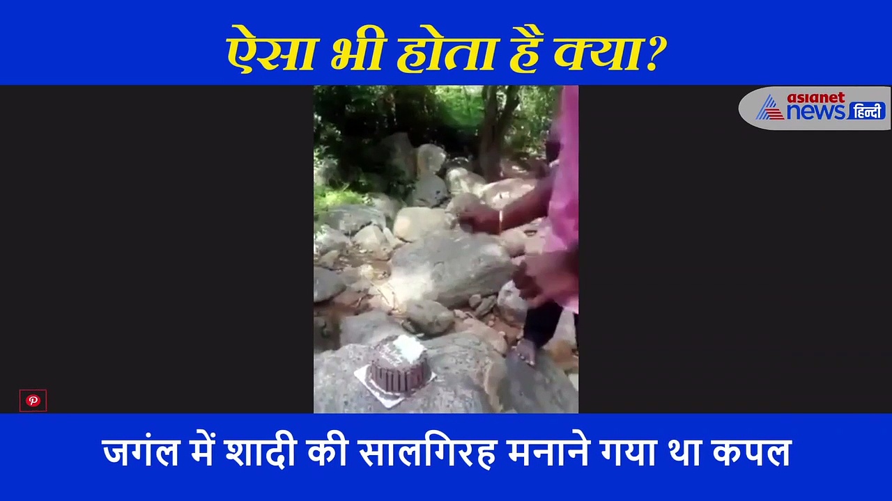 जंगल में एनीवर्सरी मनाने गया था कपल...लेकिन एक घटना ने ढ़ेर कर दीं खुशियां, पति के हाथ में ही रह गया केक