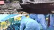 Bird Flu In India 2021: All You Need To Know