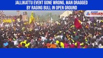 Jallikattu event gone wrong, man dragged by raging bull in open ground