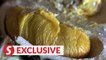 Durian farmer explains why Penang durians are unique