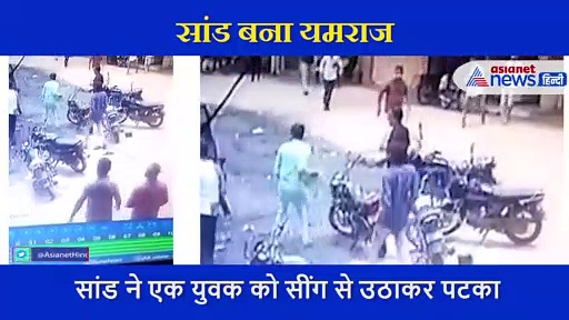 सींग में फंसाकर सांड ने युवक को हवा में उछालकर जमीन पर पटका और फिर रौंदकर मार डाला