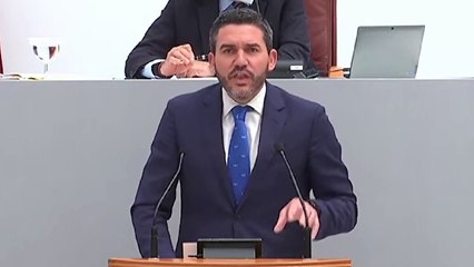 El consejero de Agricultura, Antonio Luengo, este miércoles, en su comparecencia en la Asamblea Regional.