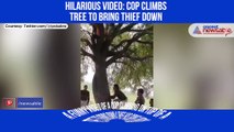 Funny Video: Thief climbs tree then refuses to come down