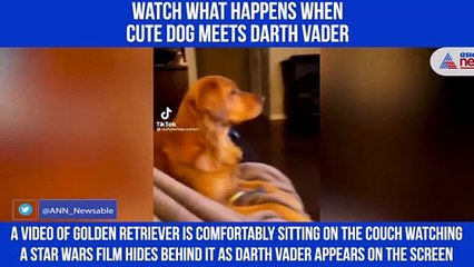 Dog Meets Darth Vader