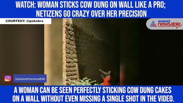 Watch: Woman sticks cow dung on wall like a pro; netizens go crazy over her precision