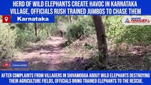 Herd of wild elephants create havoc in Karnataka village, officials rush trained jumbos to chase them